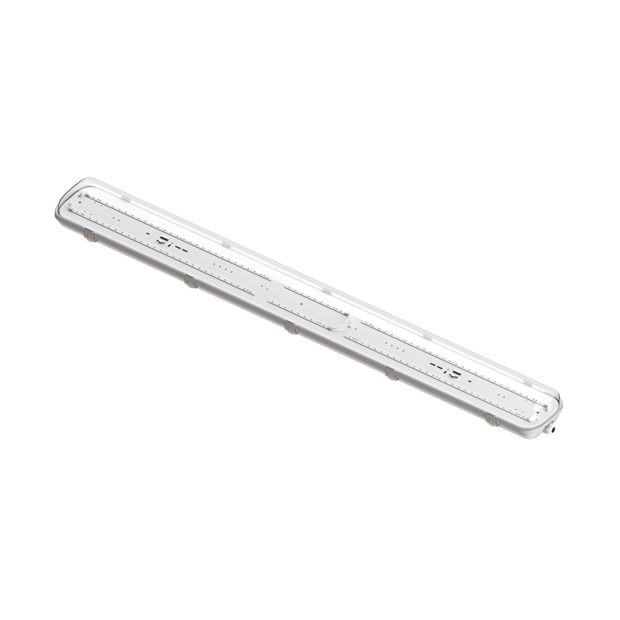 Geniled_LSP_Standart_2x36_ 50W_01_Transparent