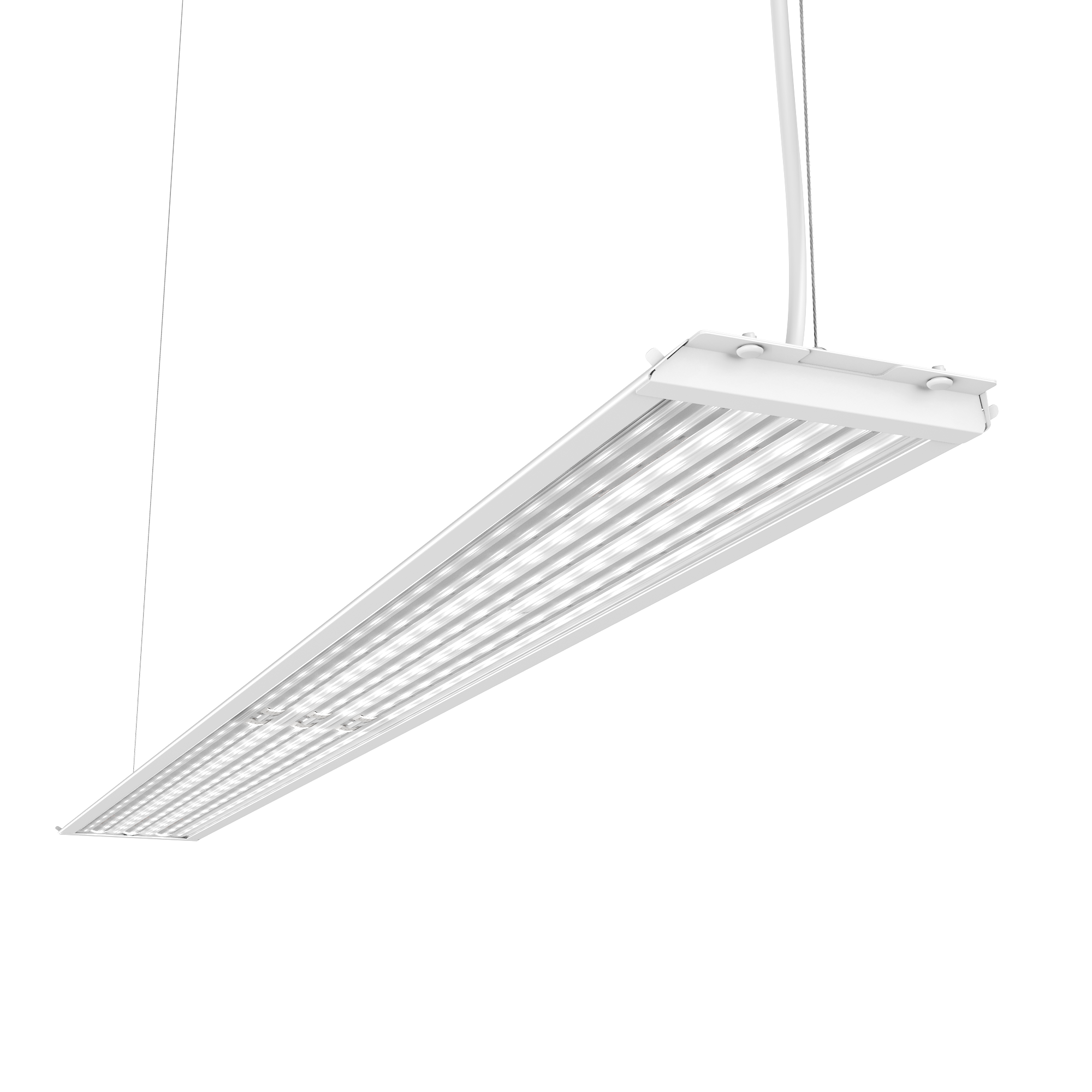 Geniled_Retail_Standart_1000x100_01_Lens