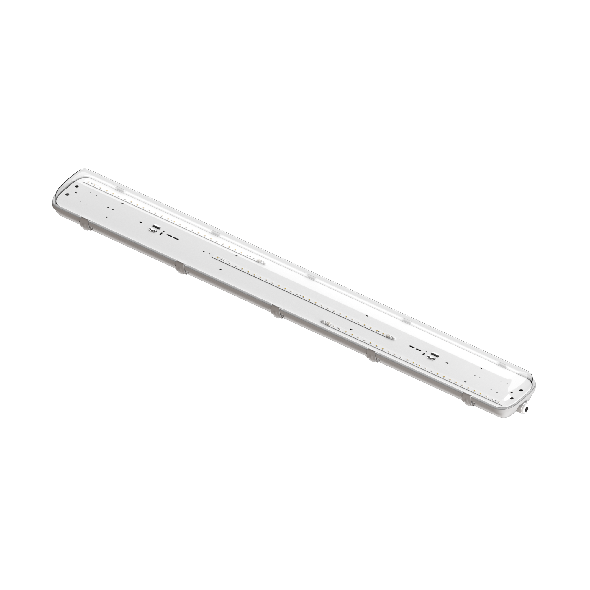 Geniled_LSP_Standart_2x36_30W_01_Transparent