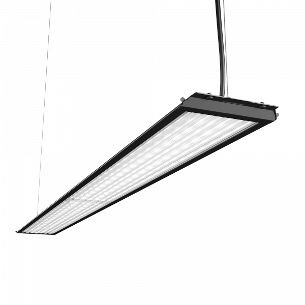 Geniled_Retail_Standart_1000x100_01_Lens_black
